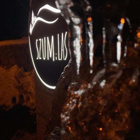 Szum I Las Szklarska Poreba Bagian luar foto
